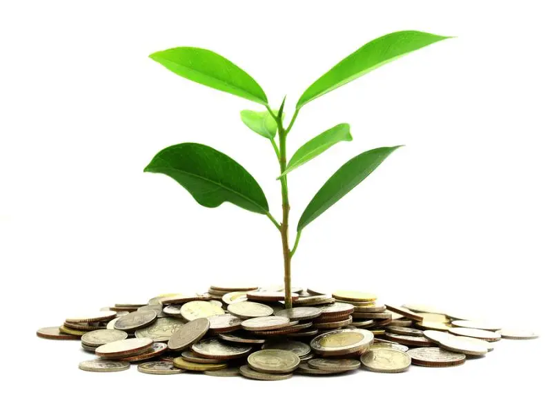 Инвестиции SKF в сохранение экологии | Свежие новости в Ярославле